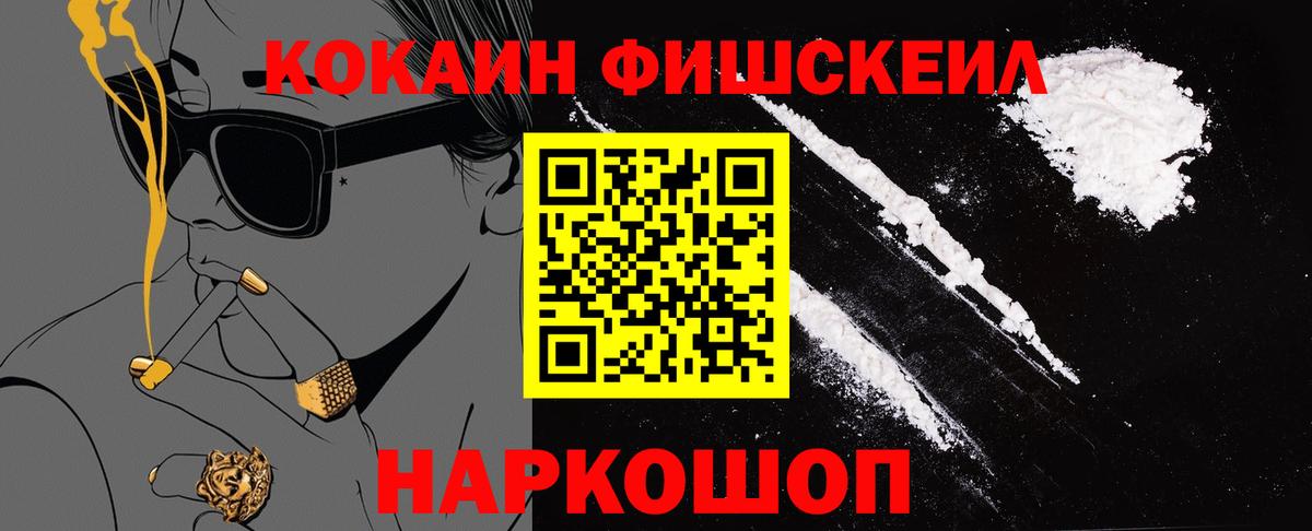 Cocaine Fish Scale  Cocaine Fish Scale  Вход с VPN  Кызыл 