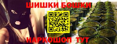 кокс Кандалакша