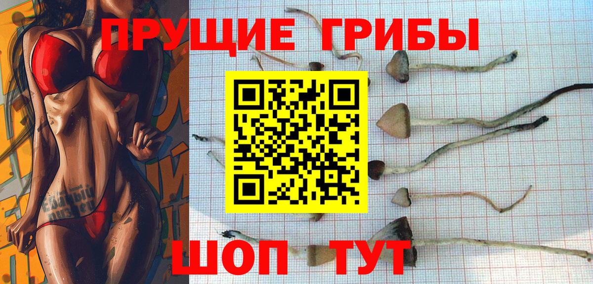 Галлюциногенные грибы Psilocybine cubensis  Вход с VPN  купить   Кызыл 